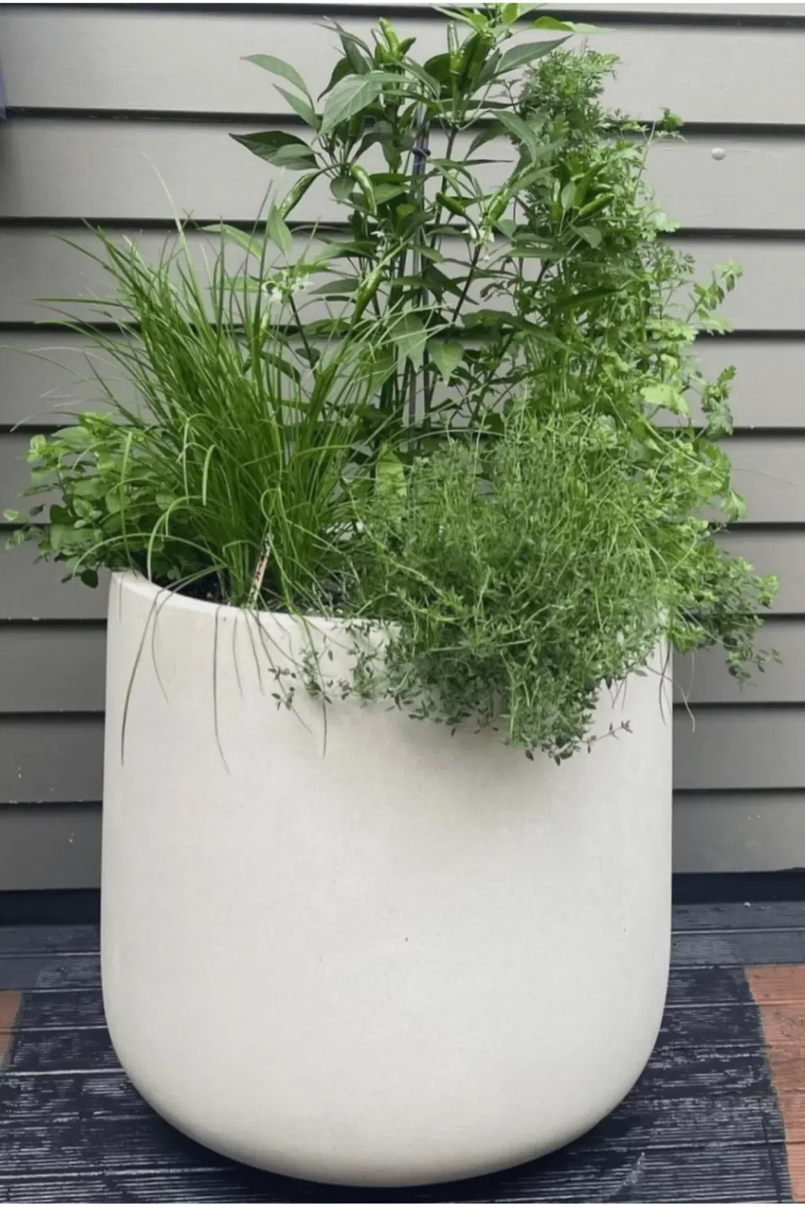 Bianca Cylinder Pot