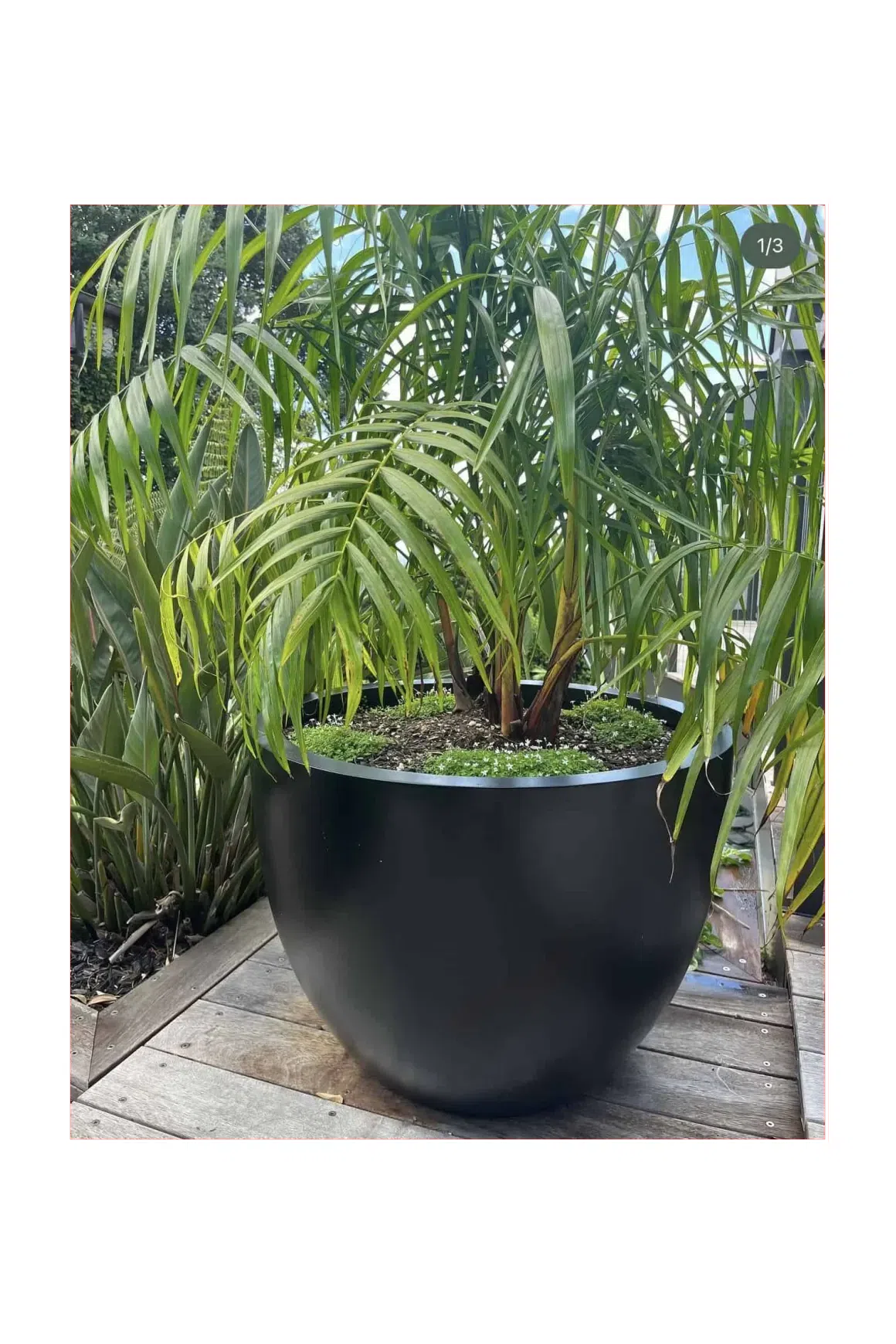 Bianca Egg Pot