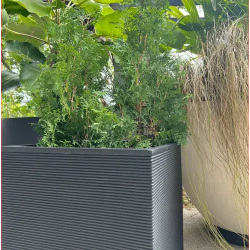 Bianca Cube Horizontal Stripes