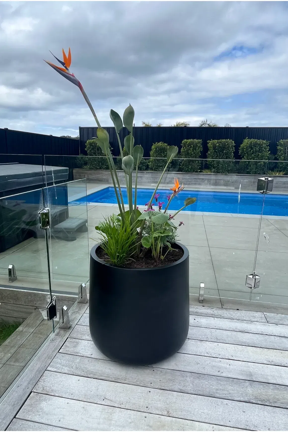 Bianca Cylinder Pot