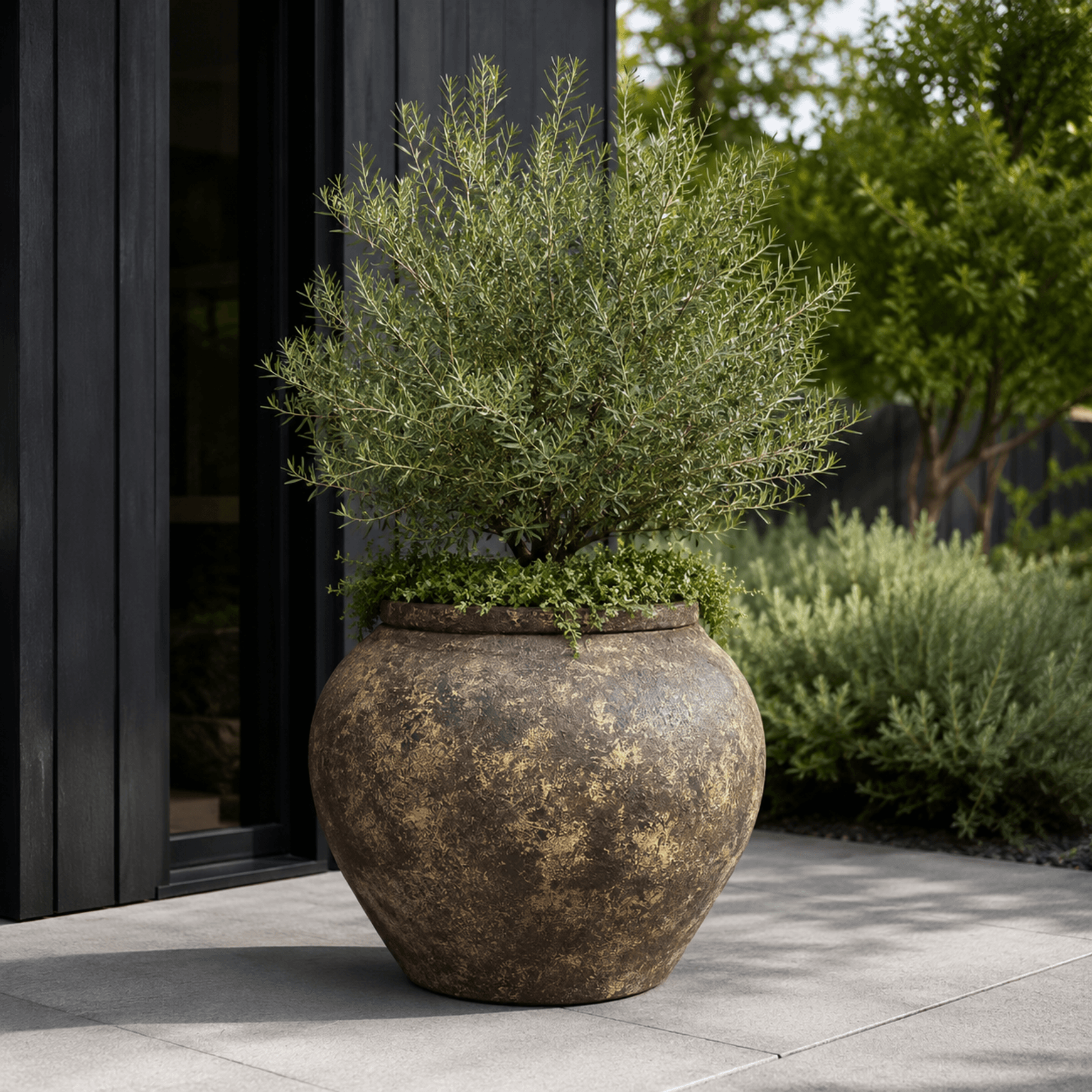 Poise Planter