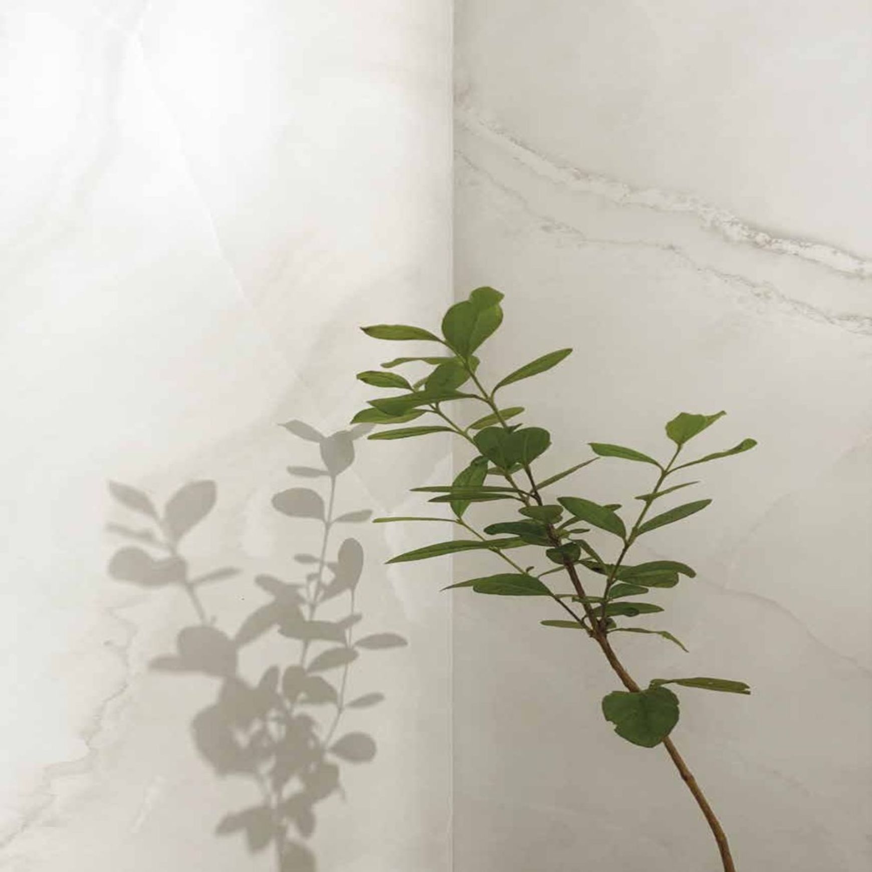 Onyx White Marble Look Porcelain Tiles