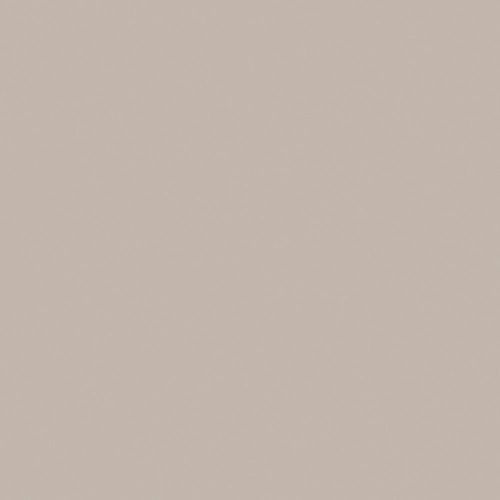 Silk Camel | Chromatic Look