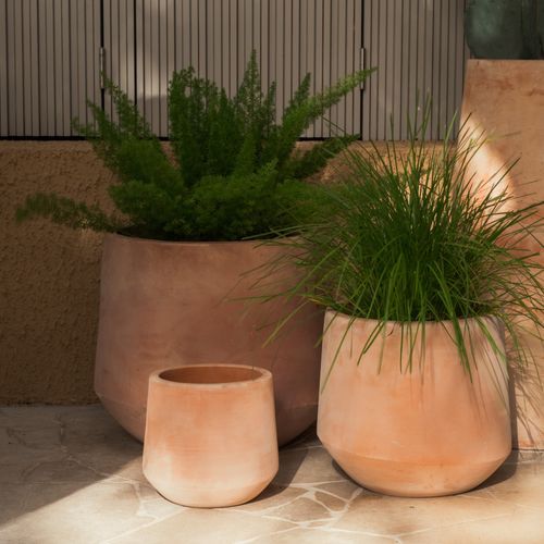 Terracotta Contour