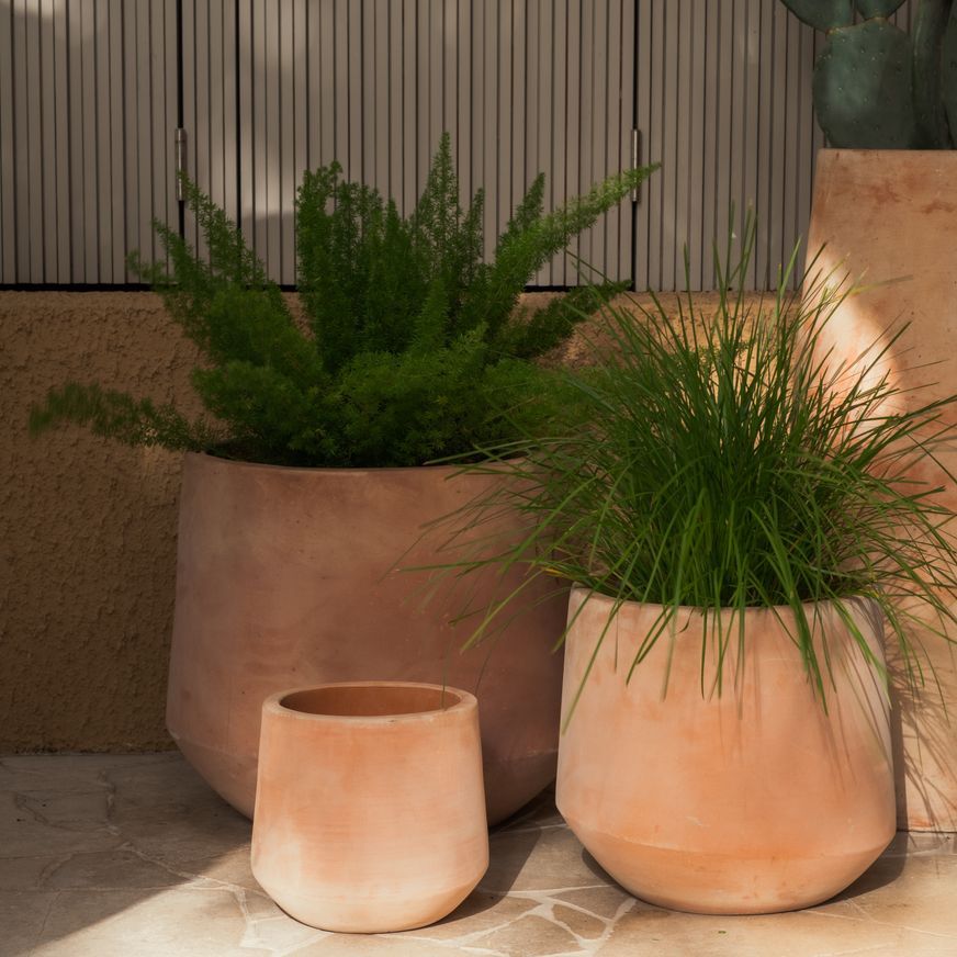 Terracotta Contour