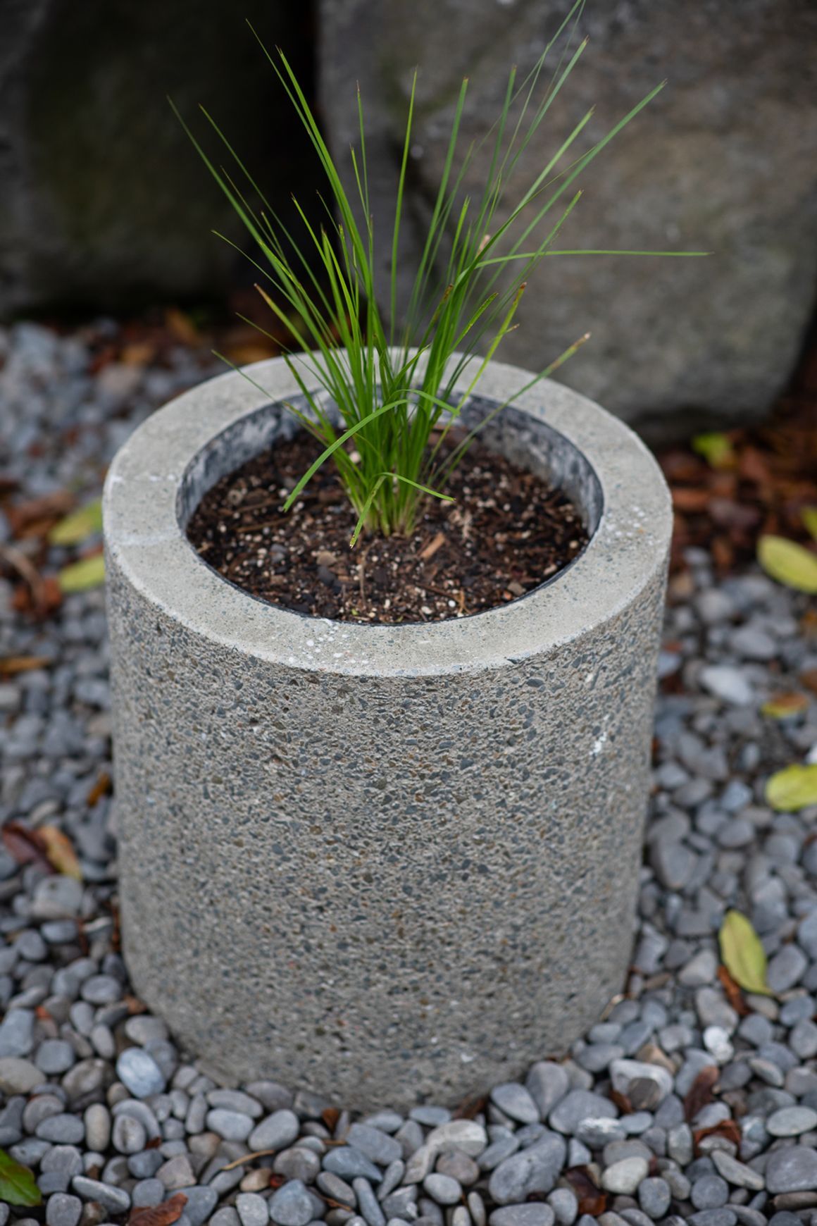 Concrete Planter Boxes