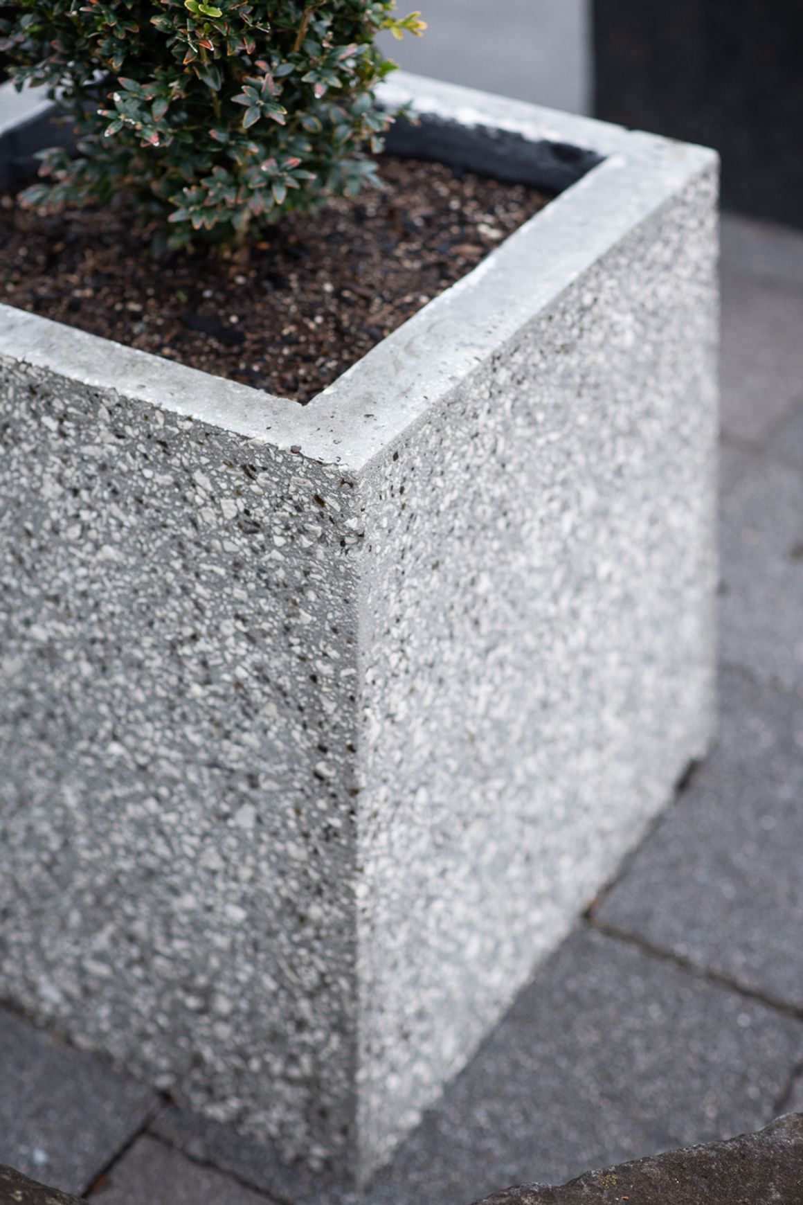 Concrete Planter Boxes