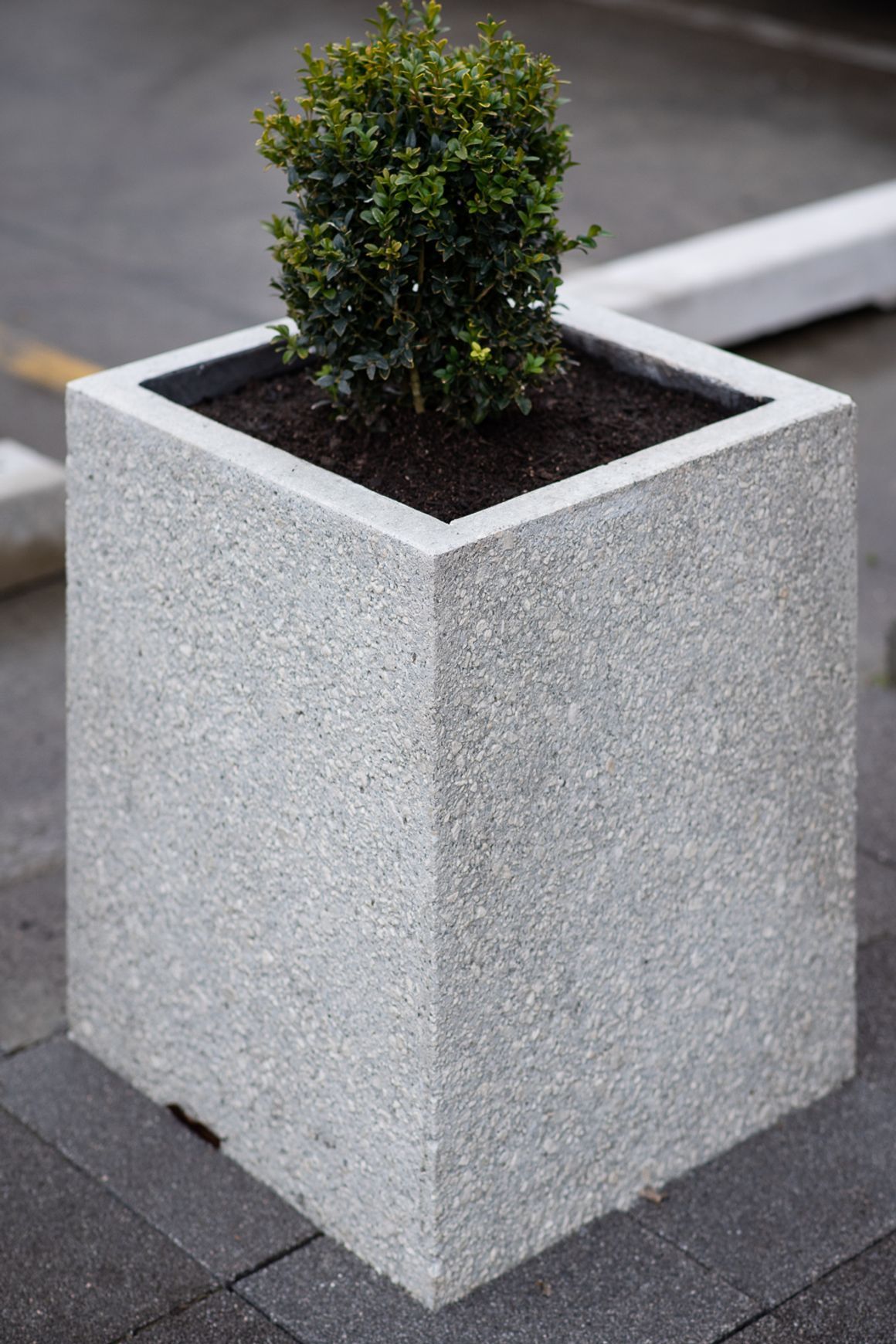 Concrete Planter Boxes
