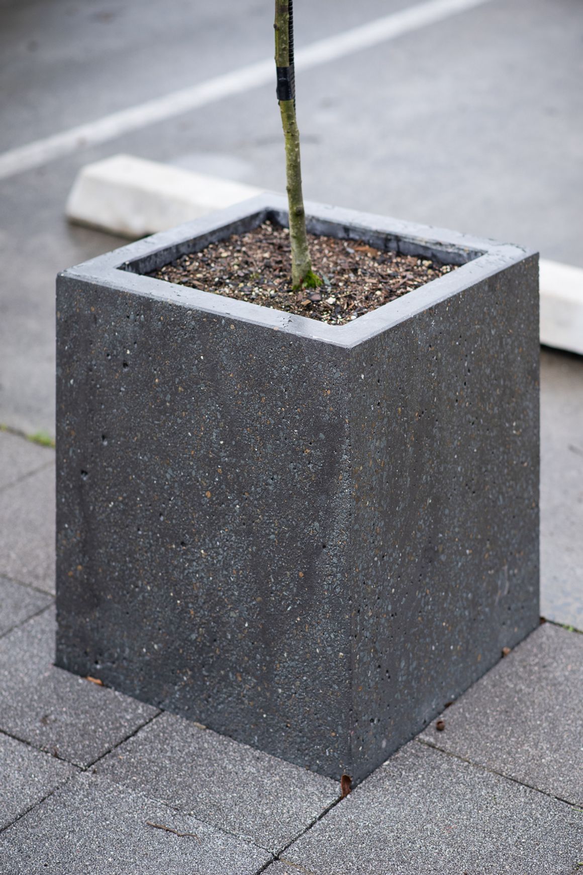 Concrete Planter Boxes