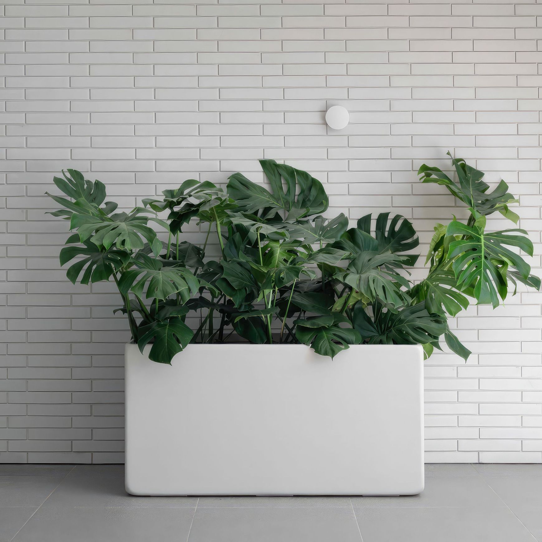 Hibernate Low Line Planters - Salt