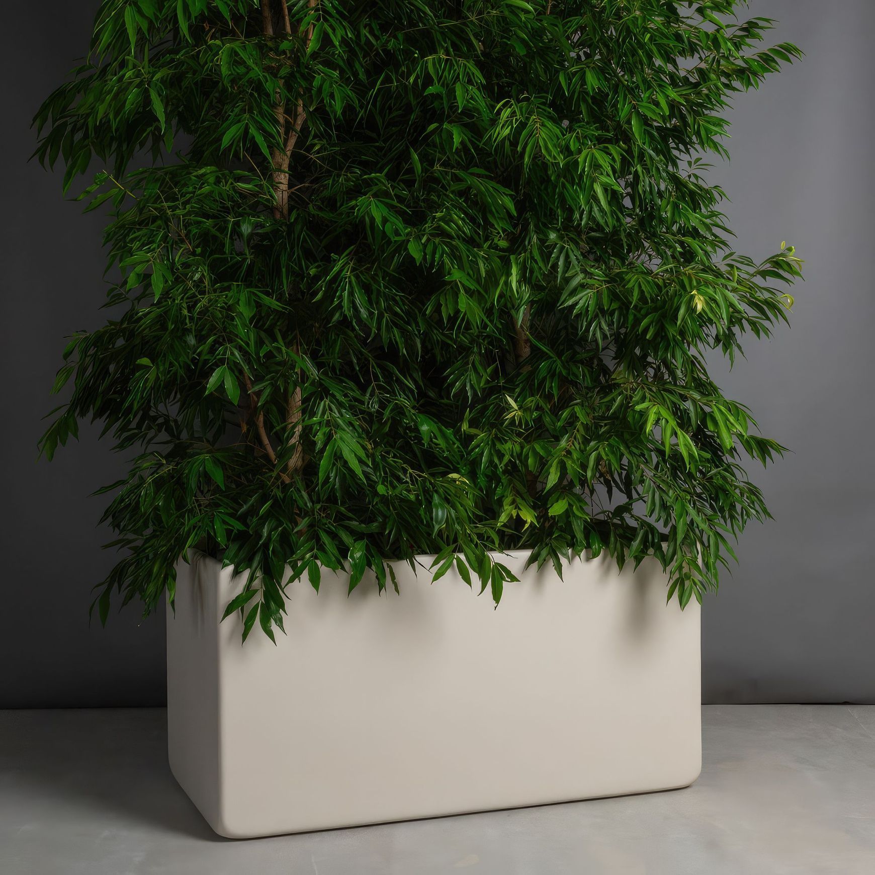 Hibernate Low Line Planters - Stone