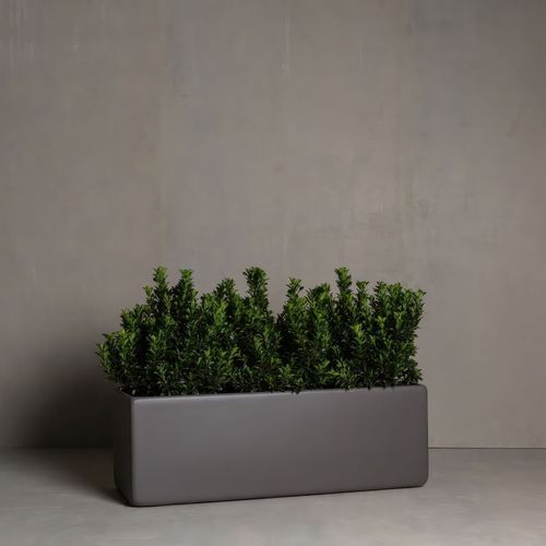 Hibernate Low Line Planters - Slate