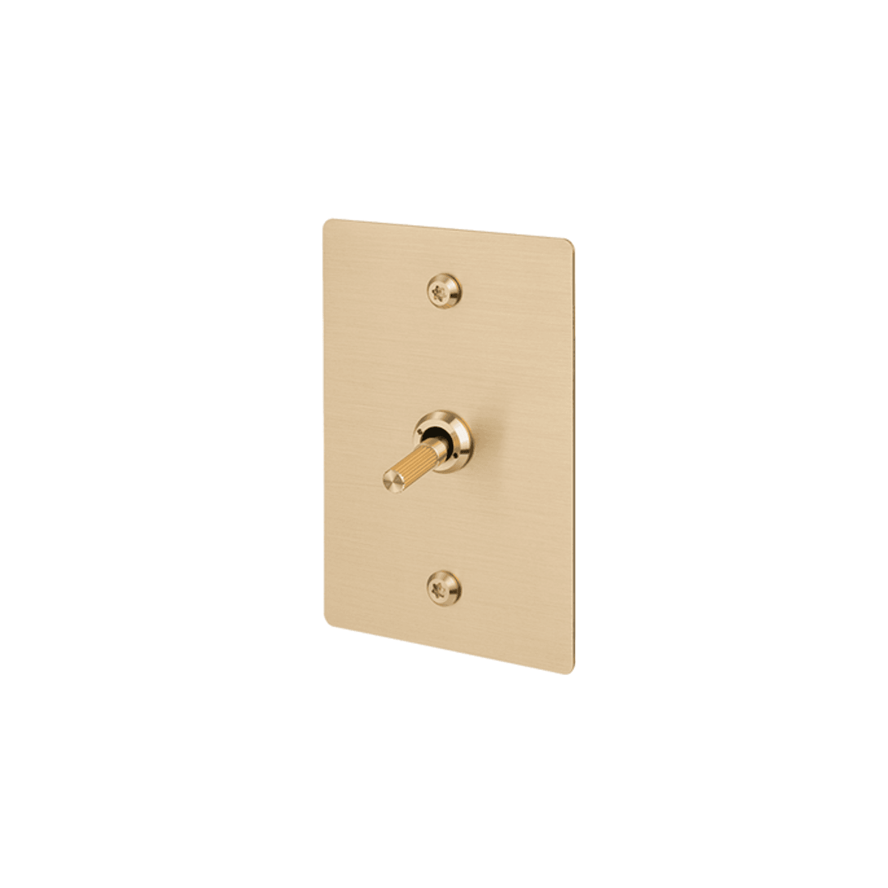 Buster + Punch 1G Toggle Vertical 2-Way Linear