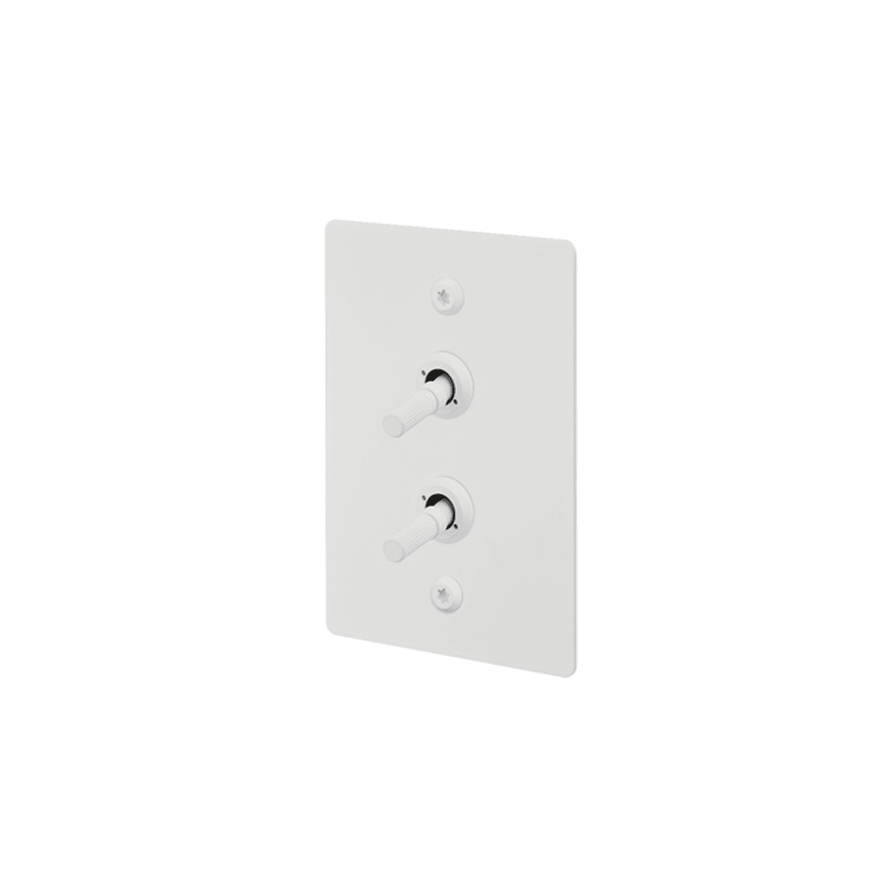 Buster + Punch 2G Toggle Vertical 2-Way Linear