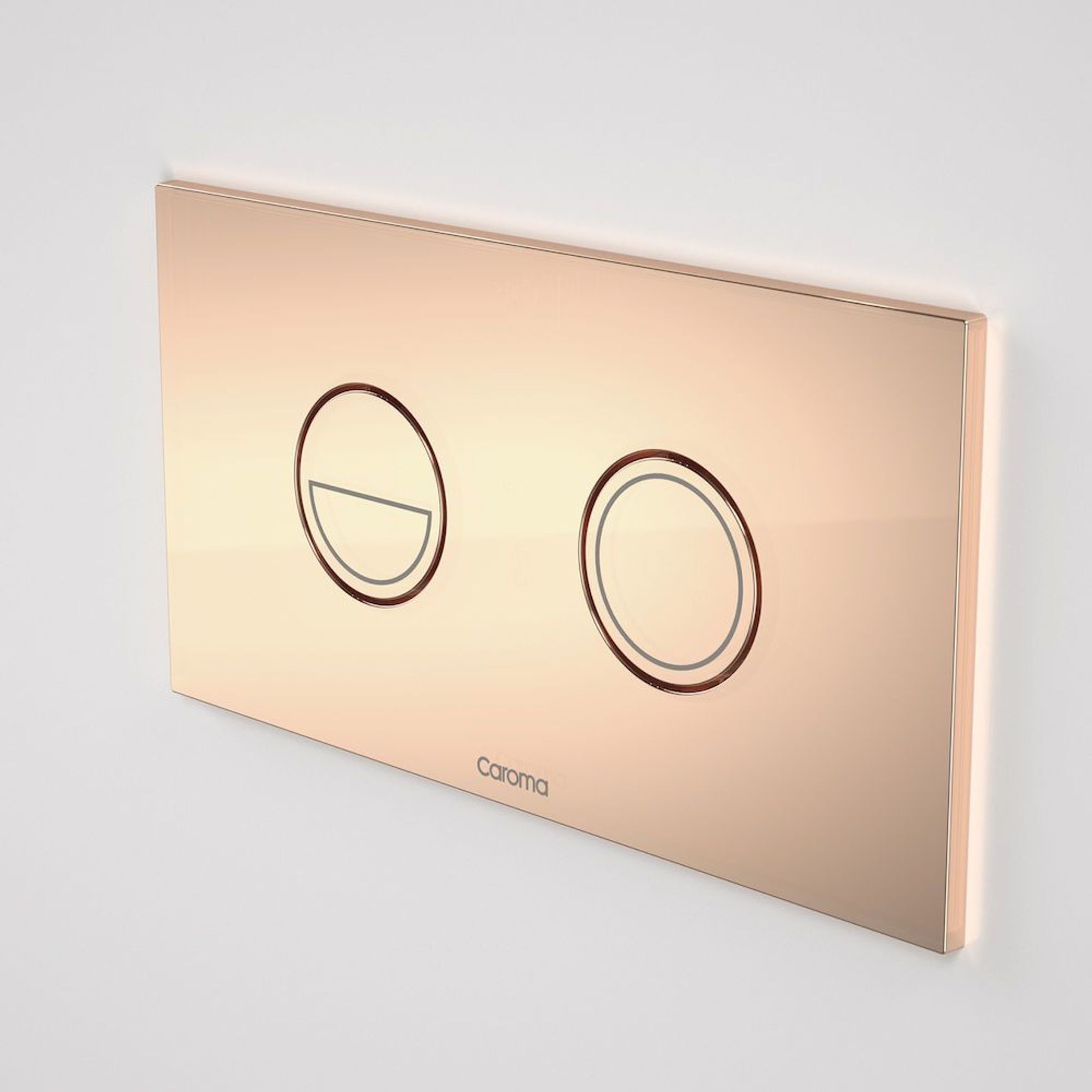 Invisi Series II® Round Dual Flush Plate & Buttons