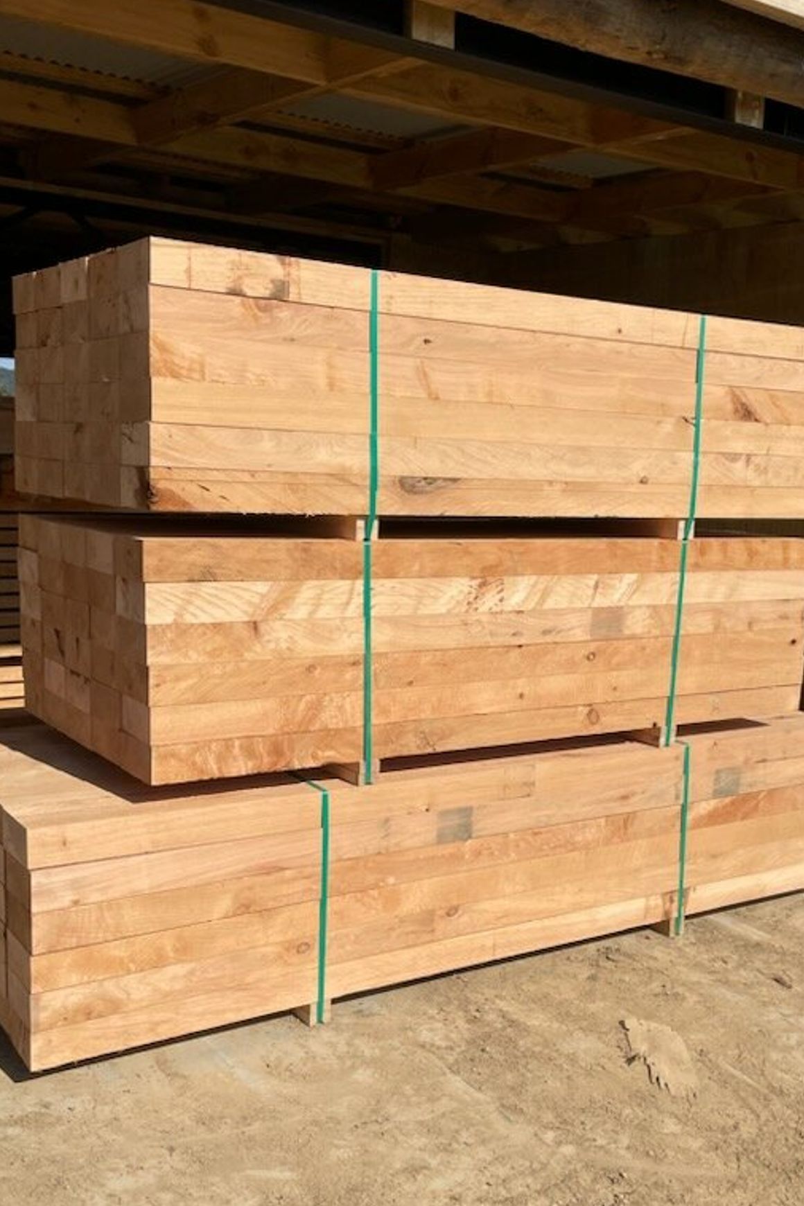 Macrocarpa Sleepers