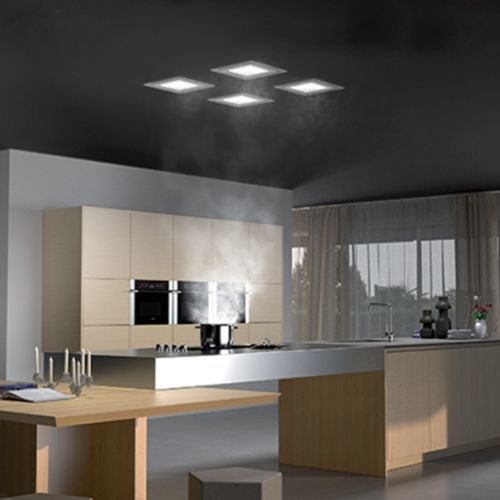 Ceiling Mount Silent Rangehood