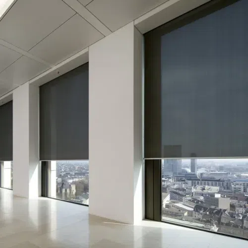 Lahood Educational Sunscreen Blinds