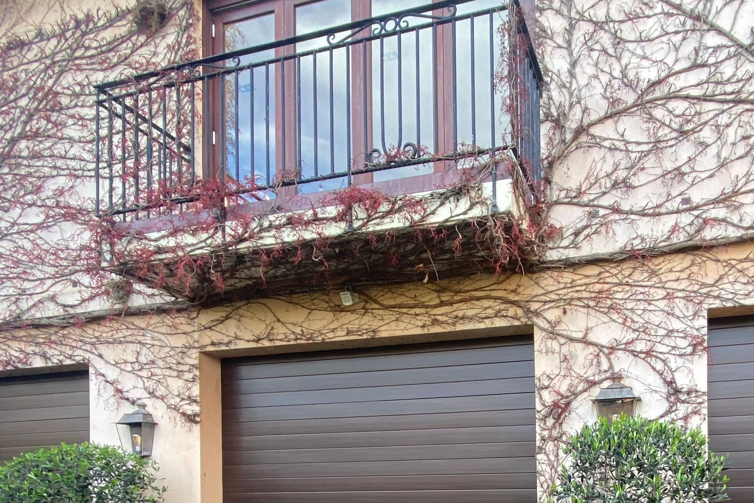 Dominator NatureSteel Garage Doors