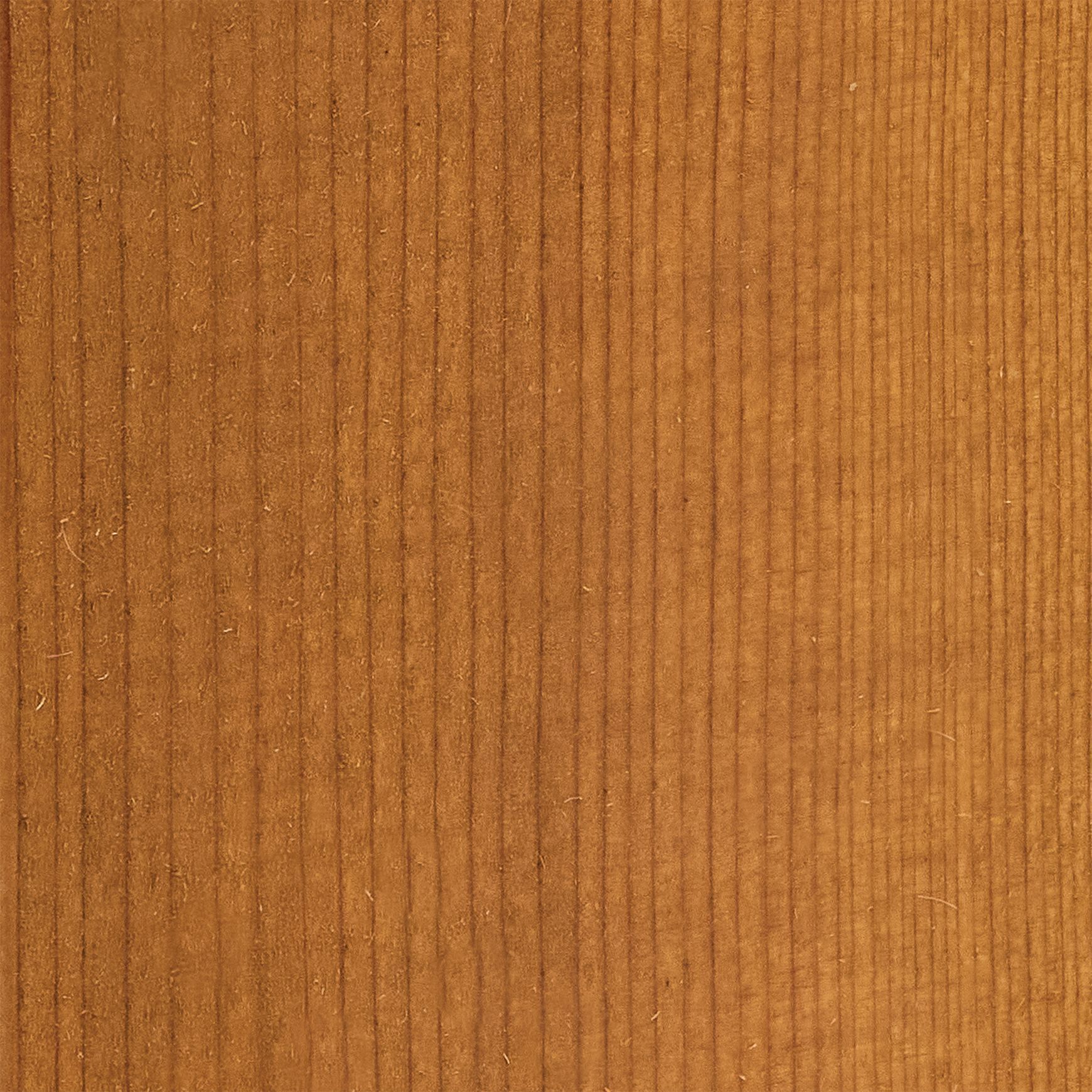 Cedar Cladding