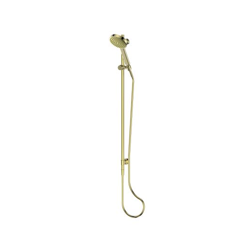 Lavish Brass Rail Shower