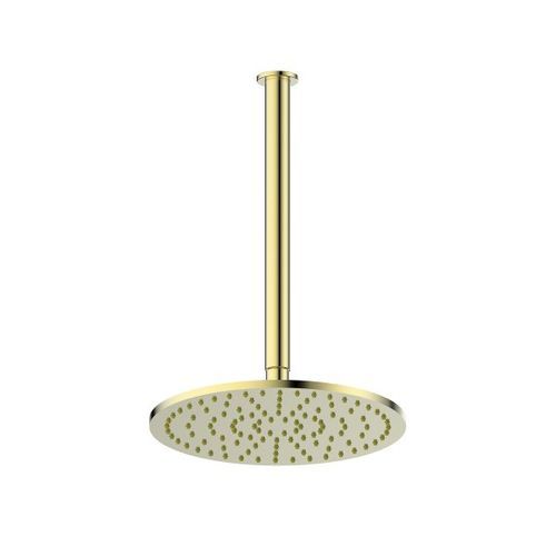 Lavish Brass Ceiling Shower