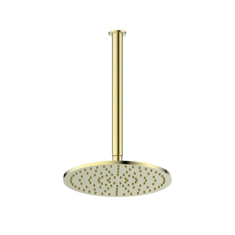Lavish Brass Ceiling Shower