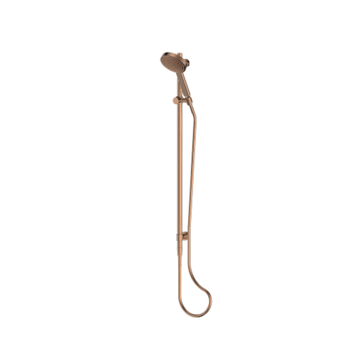 Lavish Brass Rail Shower