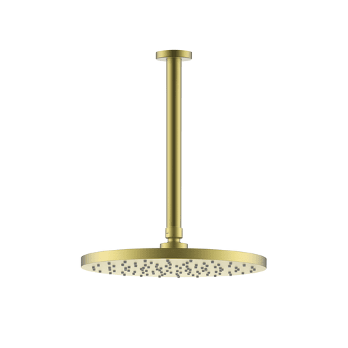 Evoke Shower Rain Head (Ceiling Mount)