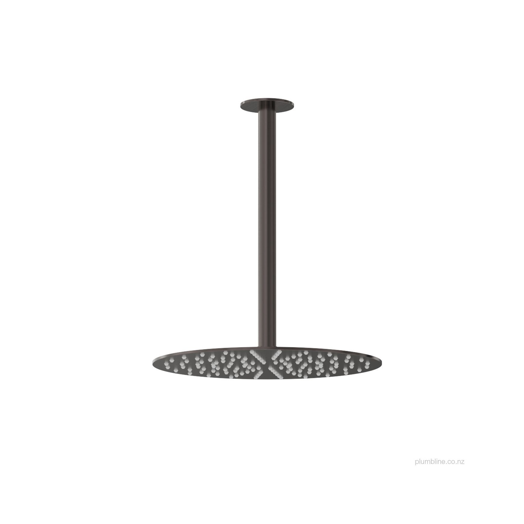 Oli 316 250mm Ceiling Mount Rainhead