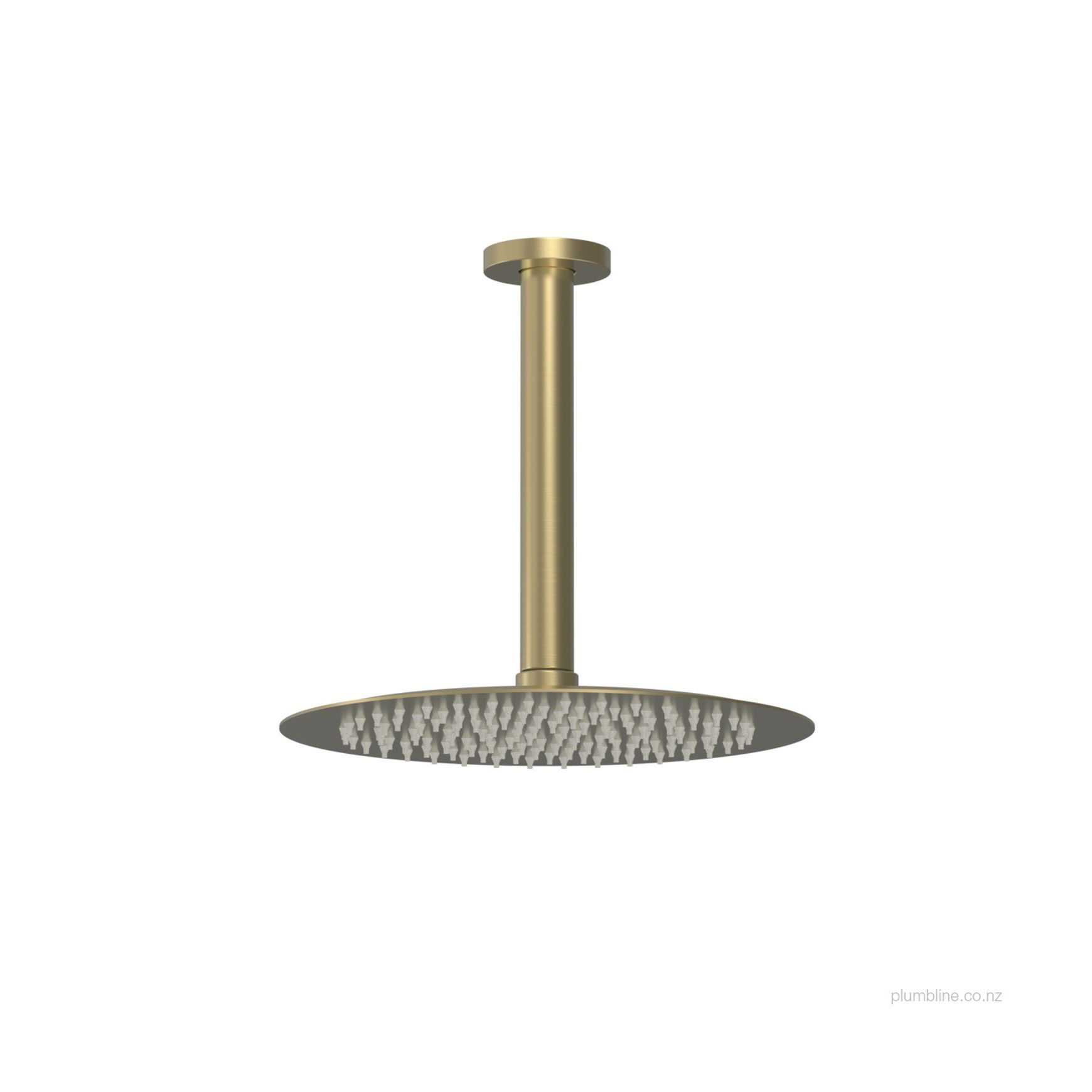 Tube Ceiling Mount Rainhead 250mm