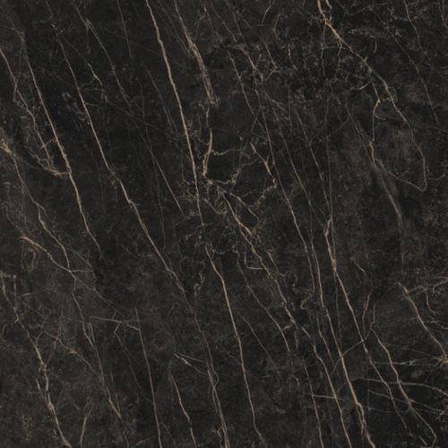 Black Obsession