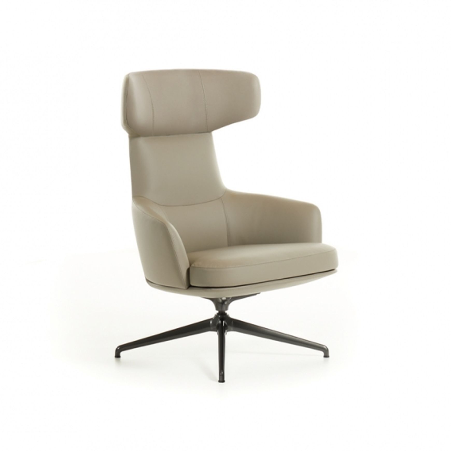 Piccadilly Armchair by Molteni&C