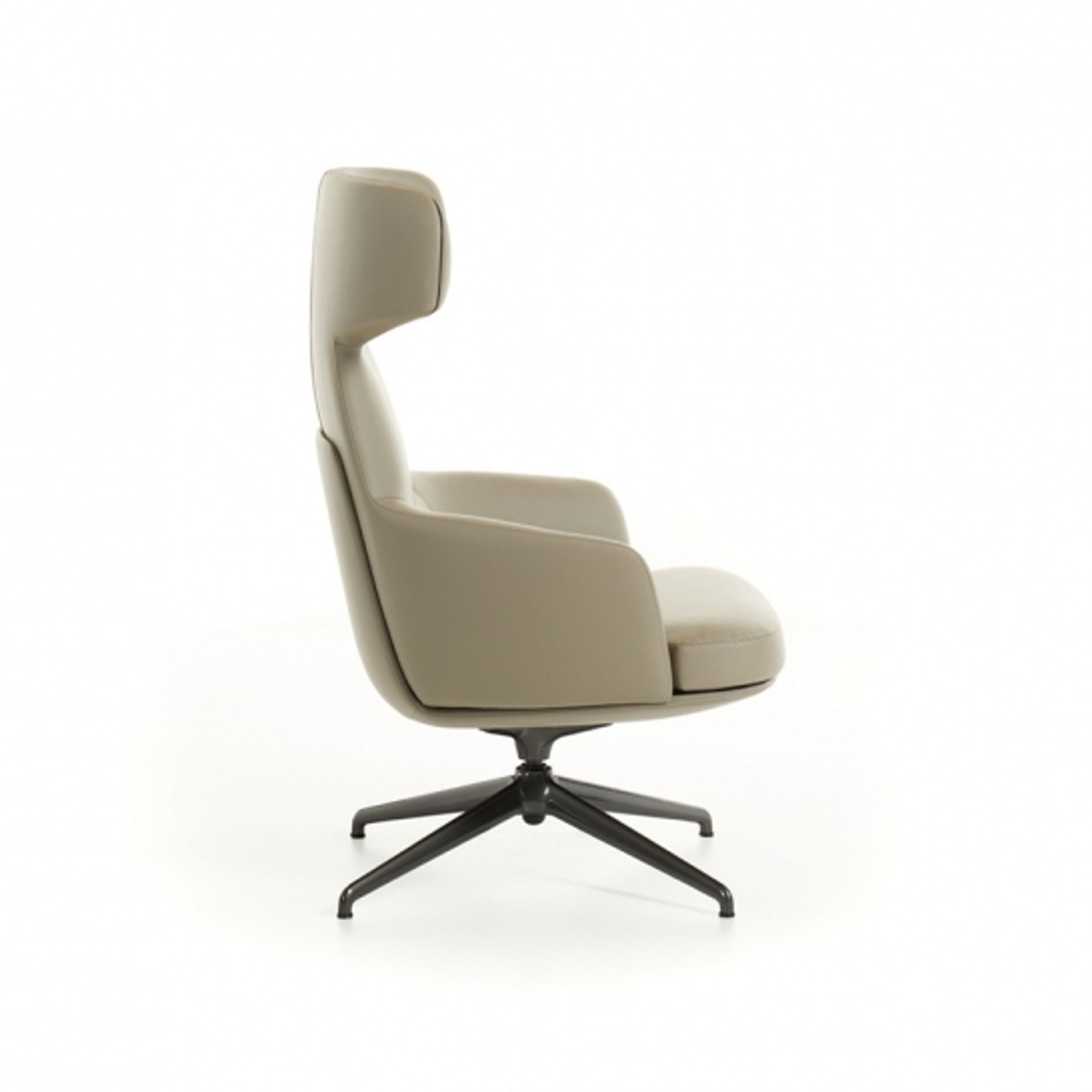Piccadilly Armchair by Molteni&C