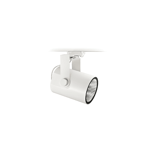 Ray Projector Light