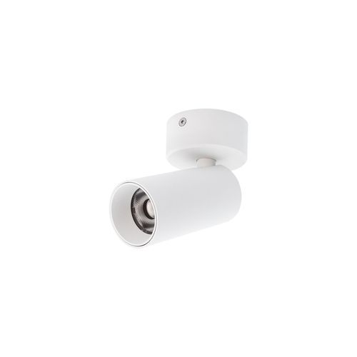 Single LED Tubular Spot Light