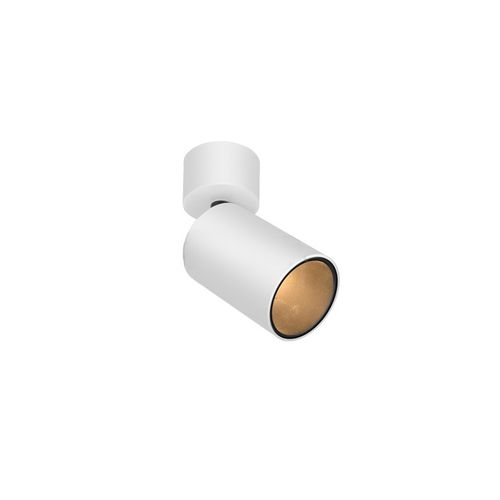 FAVOR ONM ER V24.1 | Ceiling Spot Light