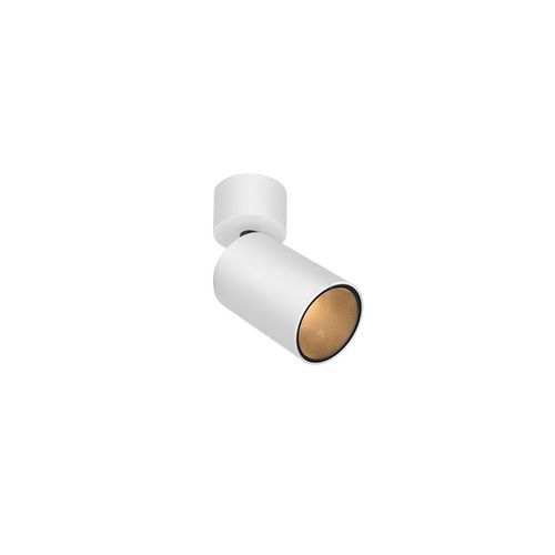 FAVOR ONM ER V24.1 | Ceiling Spot Light
