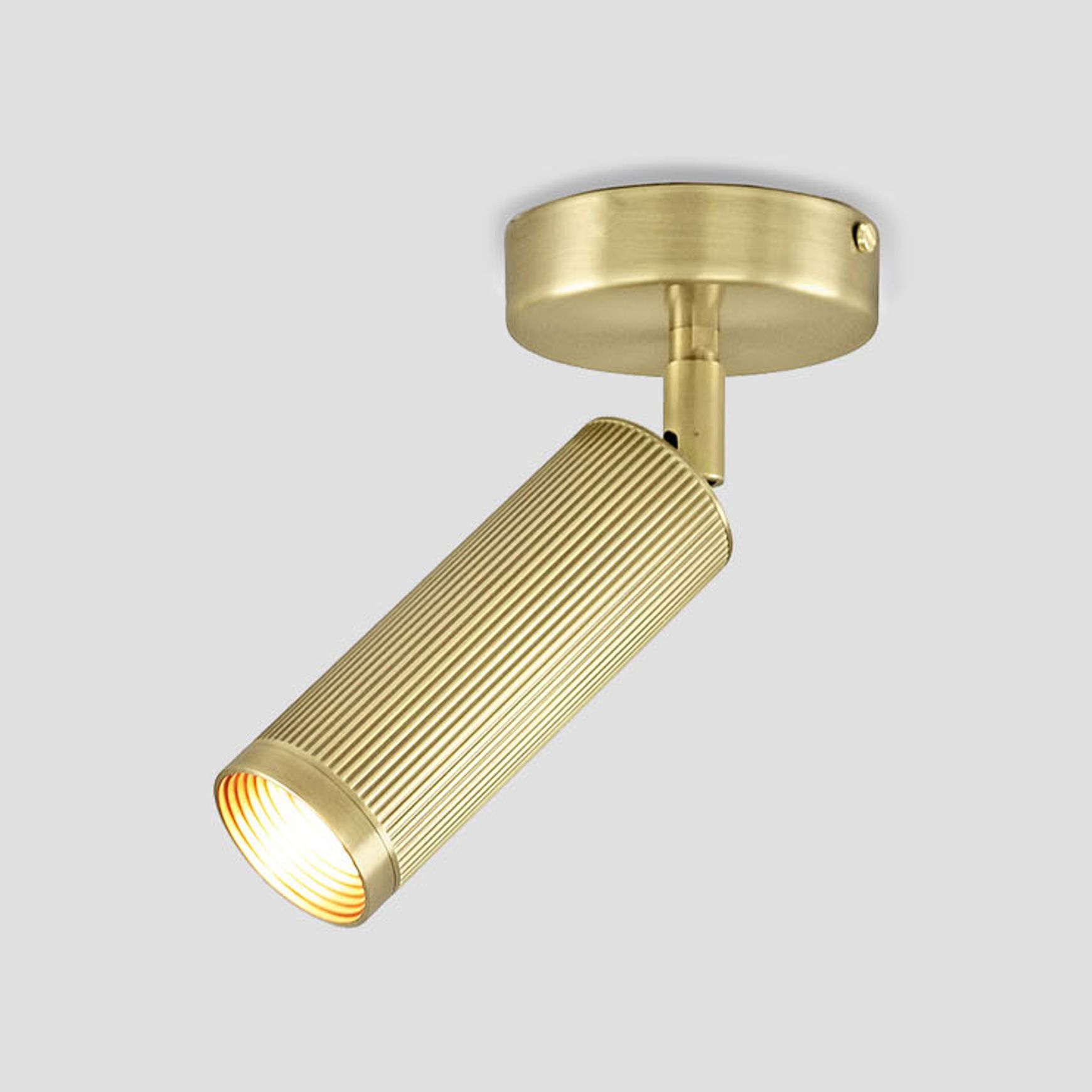Spot Ceiling Light