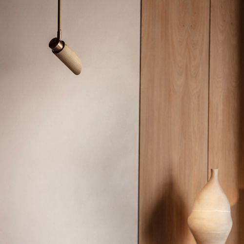 Spot Pro Ceiling Light