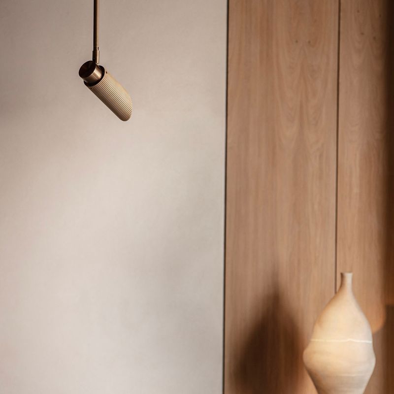 Spot Pro Ceiling Light