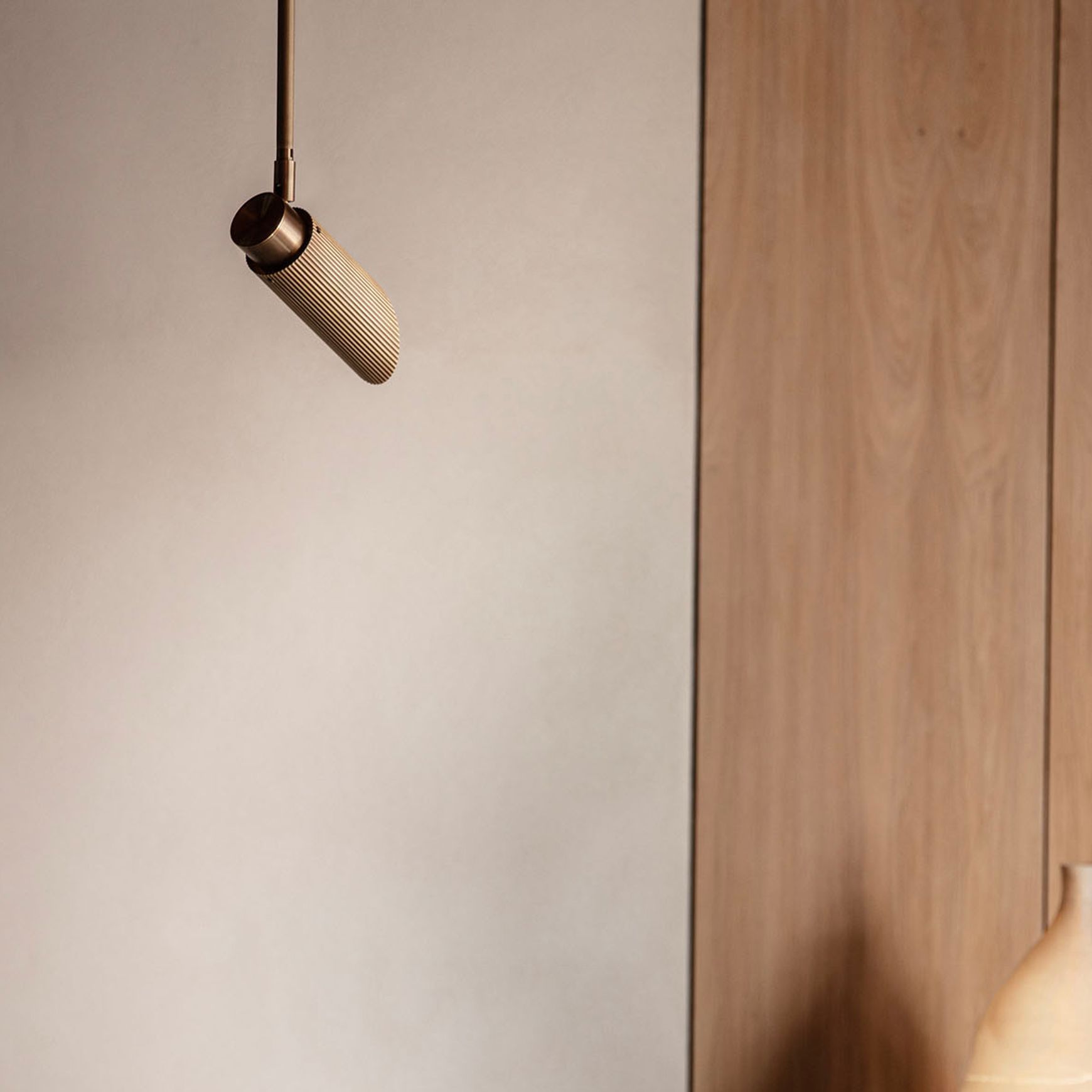 Spot Pro Ceiling Light