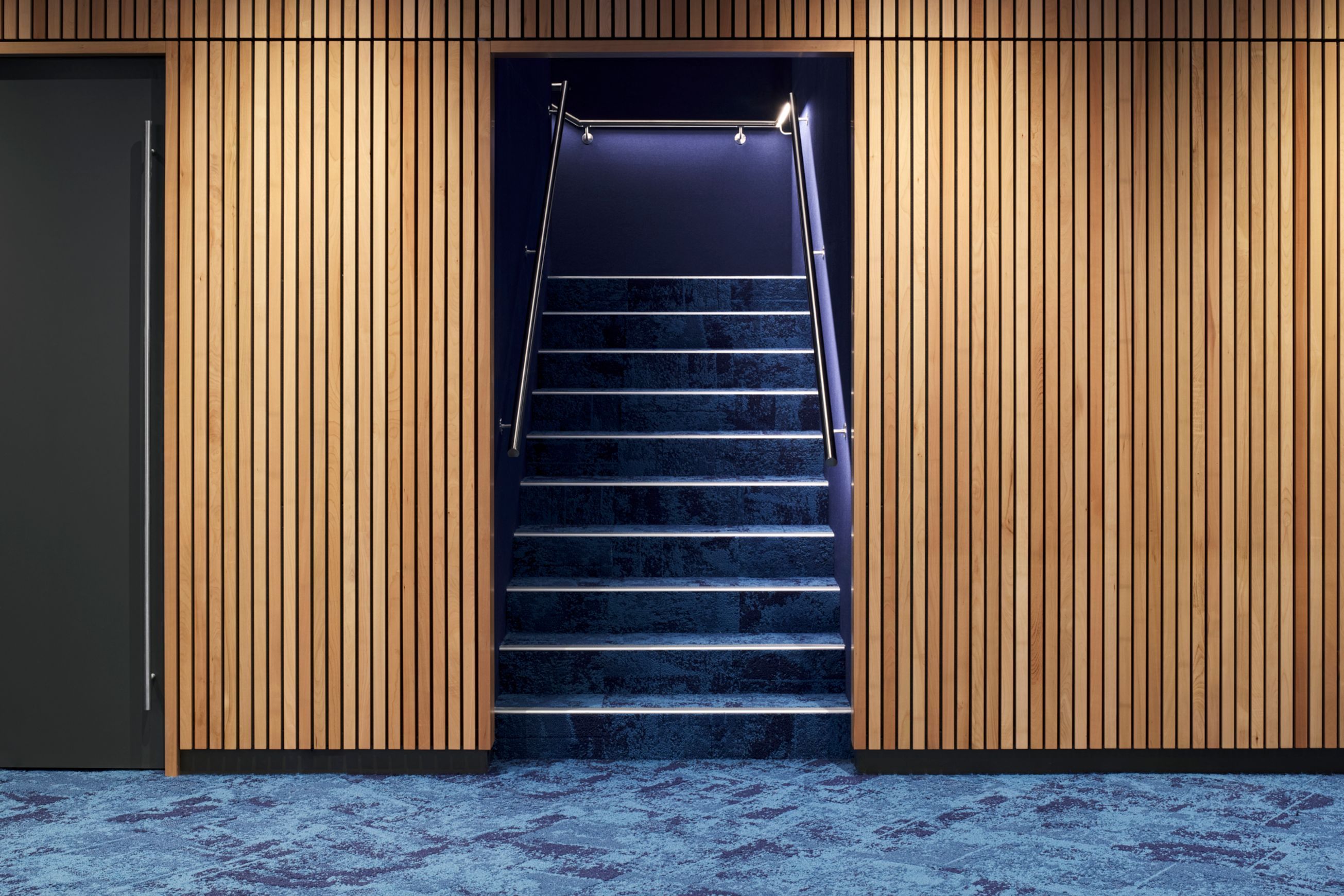 Richie Rail 20 Handrail LED Strip