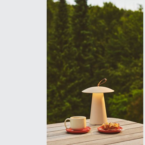 Ara To Go 2 Portable Lamp