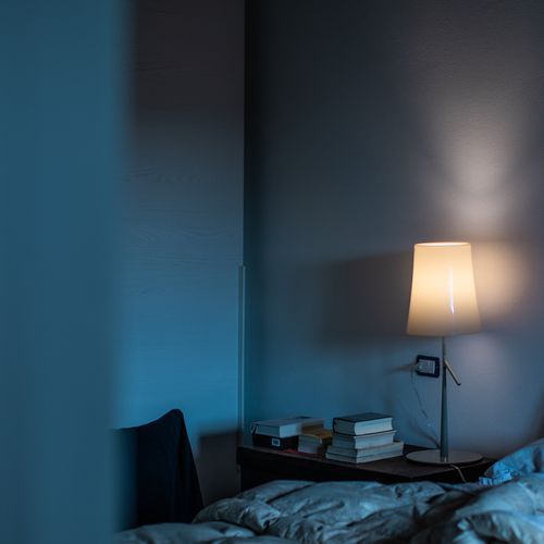 Birdie Table Lamp