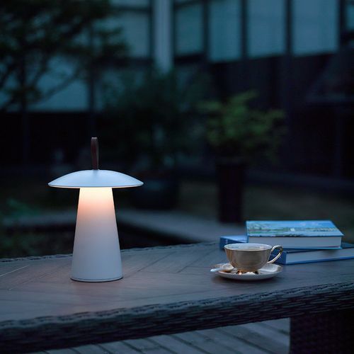 Ara To Go Portable Lamp