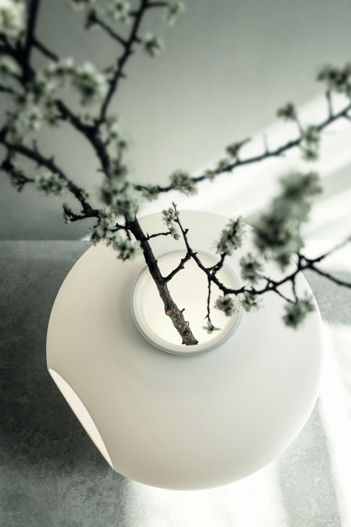 Madre Table Lamp