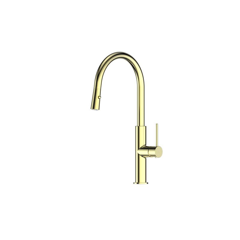 Mika Pull Down Sink Mixer