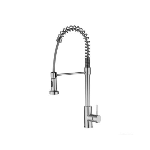 Swiss Flexi Spout Kitchen Mixer