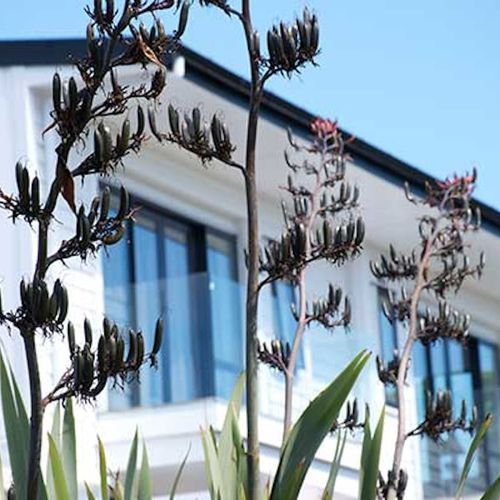 Clelands Rusticated Weatherboards